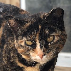 Meet your Posher, Sydni